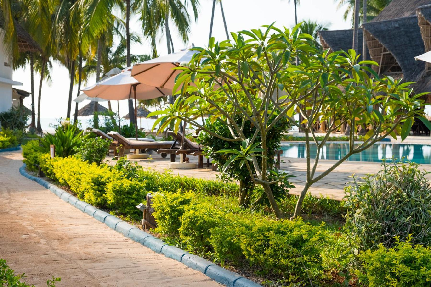 Pongwe Bay Resort Ngoại thất bức ảnh