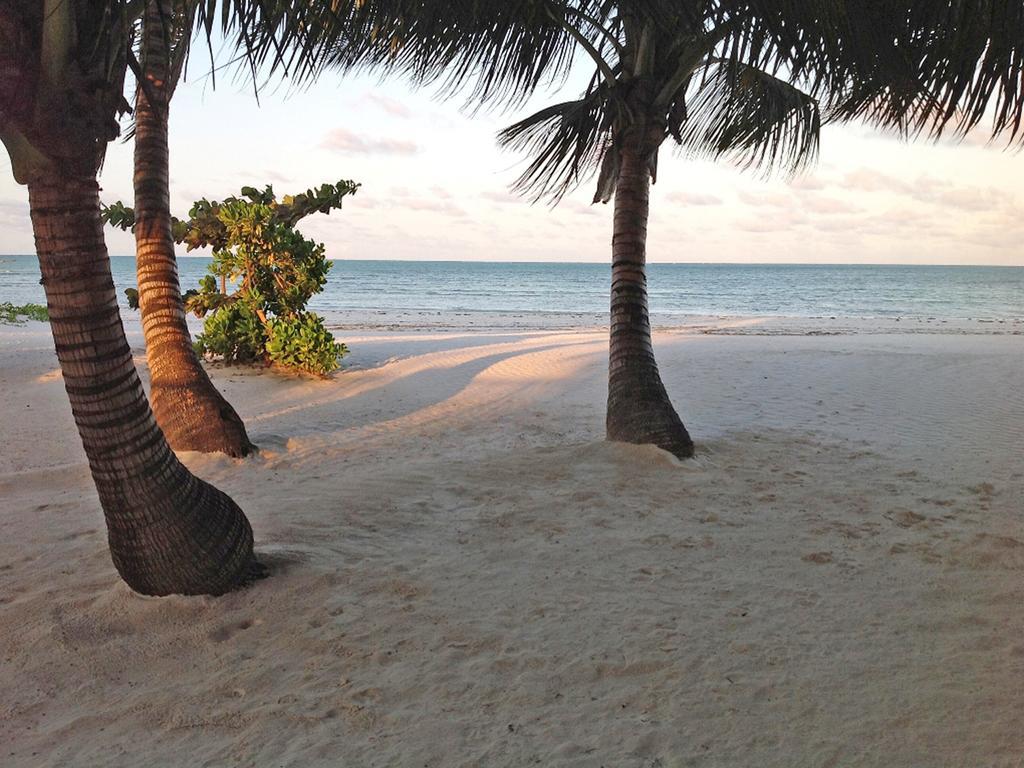 Pongwe Bay Resort Ngoại thất bức ảnh