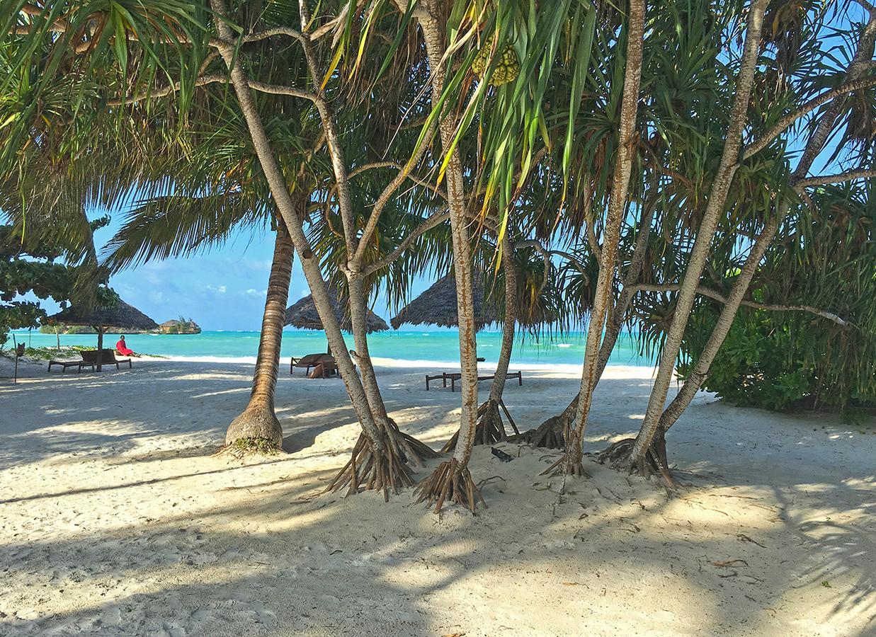 Pongwe Bay Resort Ngoại thất bức ảnh